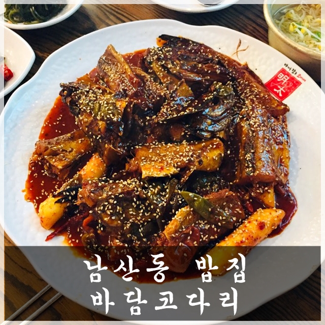 바담코다리 이미지
