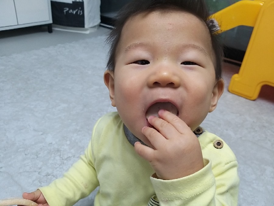 미들리 이미지