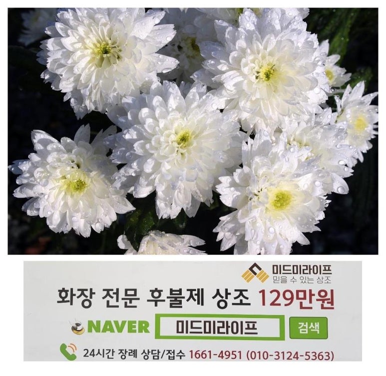 미드미상조 이미지