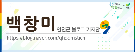 콩줌 이미지