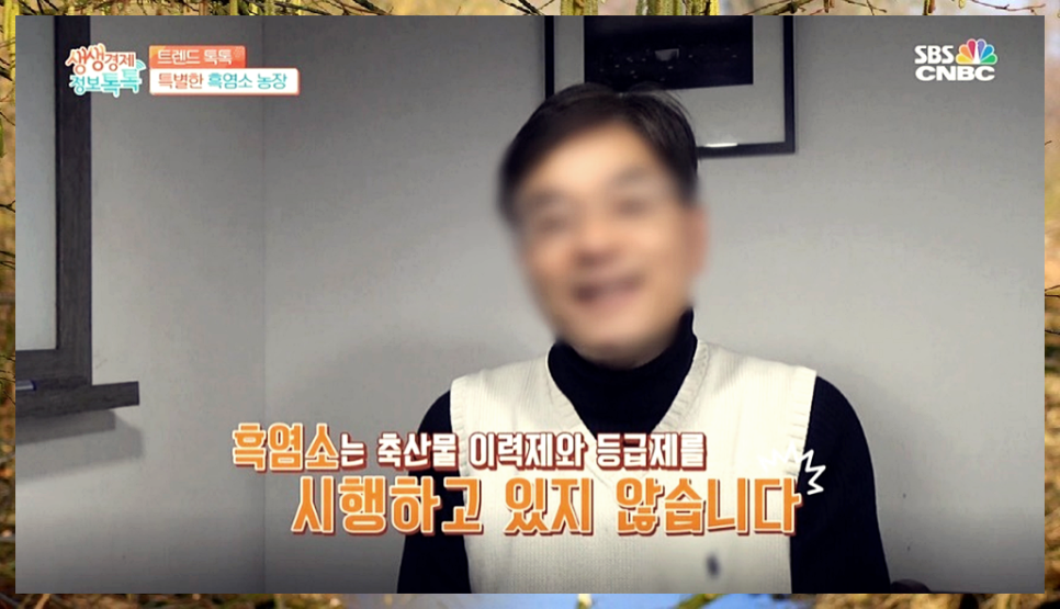 조선흑염소 이미지