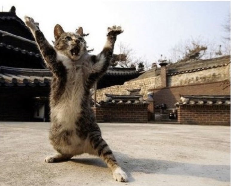 마마앤초코 이미지