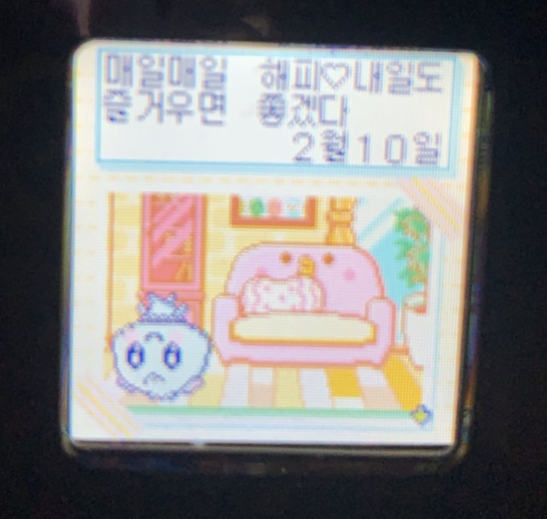 썸퍼플 이미지