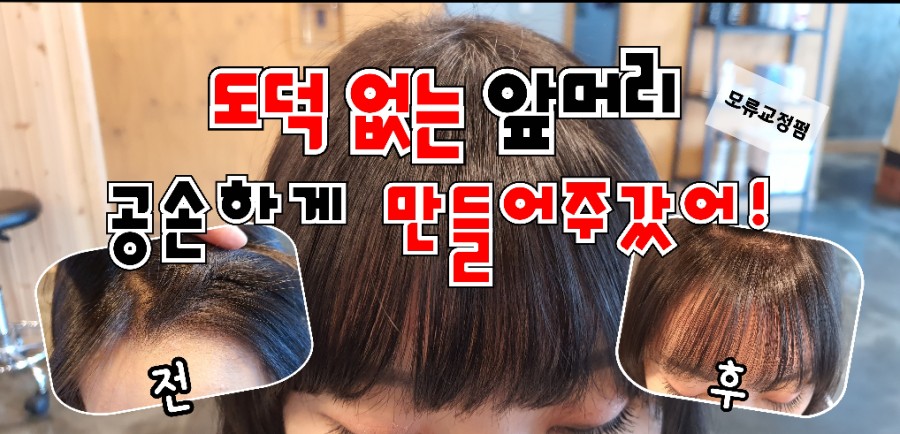 엘리야헤어 이미지