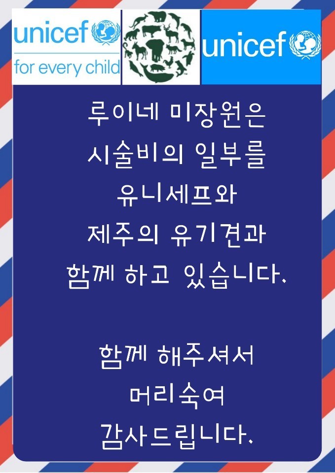 루이네미장원 이미지