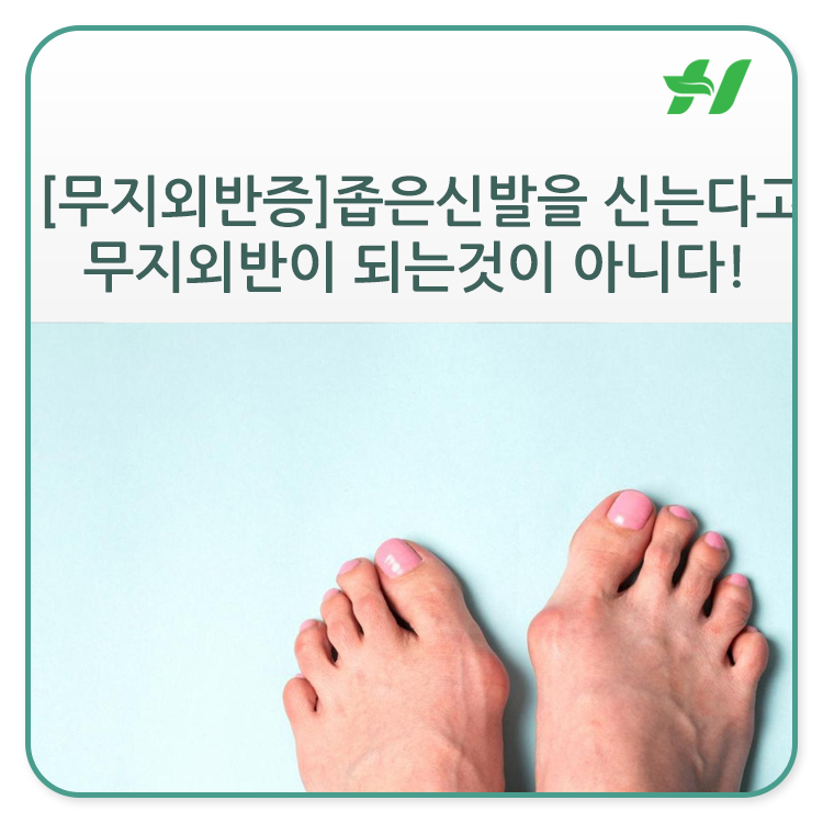 HAHA맞춤운동센터 이미지