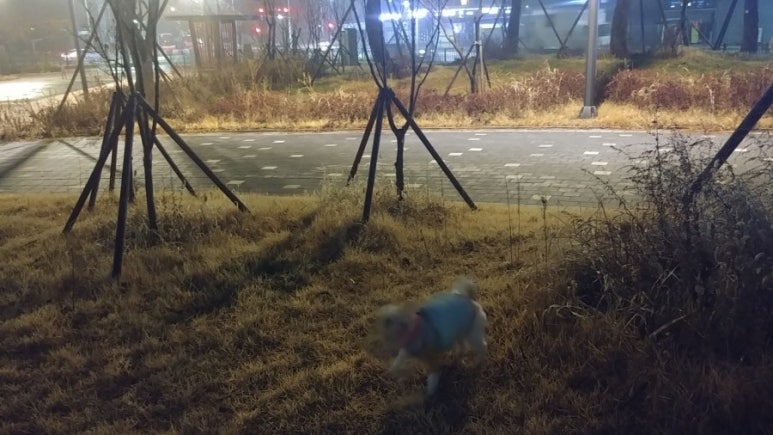 똥튀 이미지