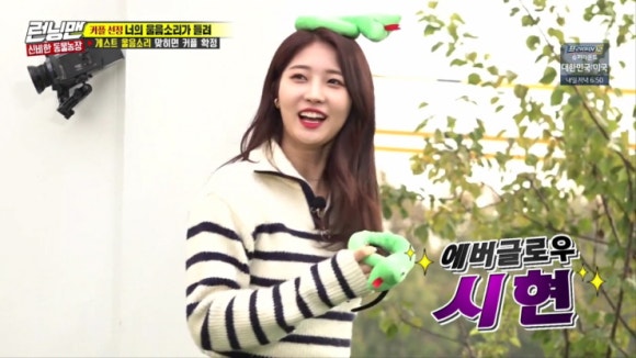 코티니 이미지