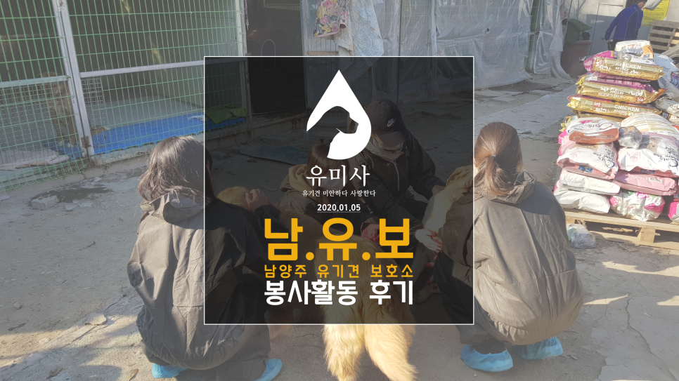유미사 이미지