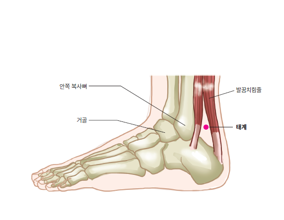 홍익한의원 이미지
