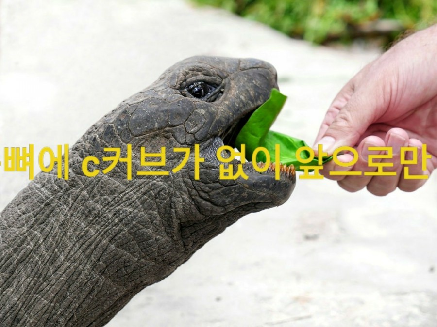 금손테라피 이미지
