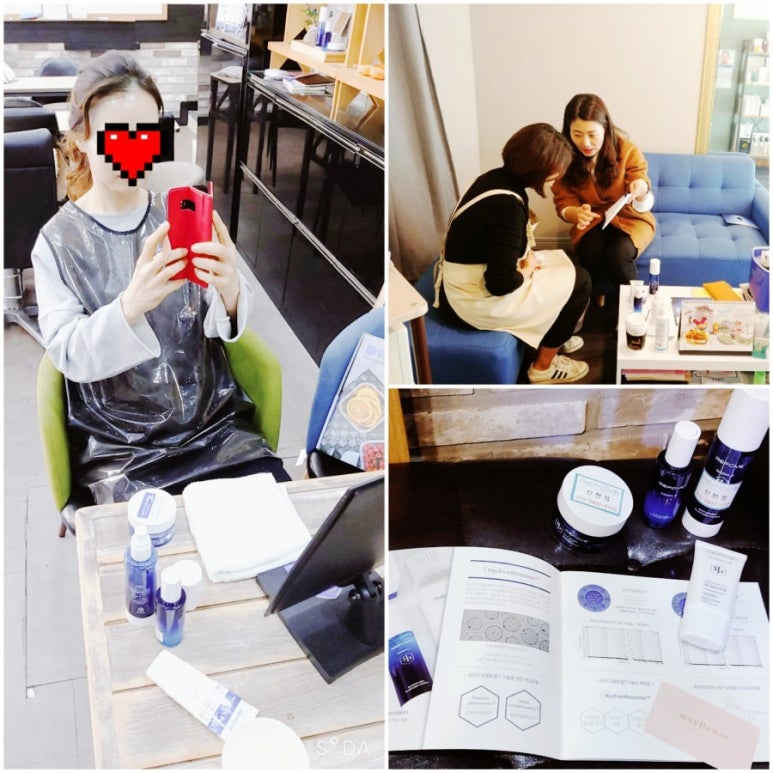 리포브진해 이미지