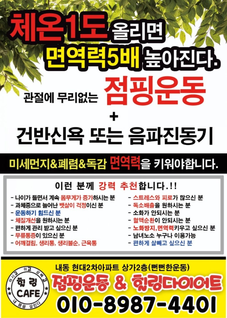 핫점핑다이어트 이미지