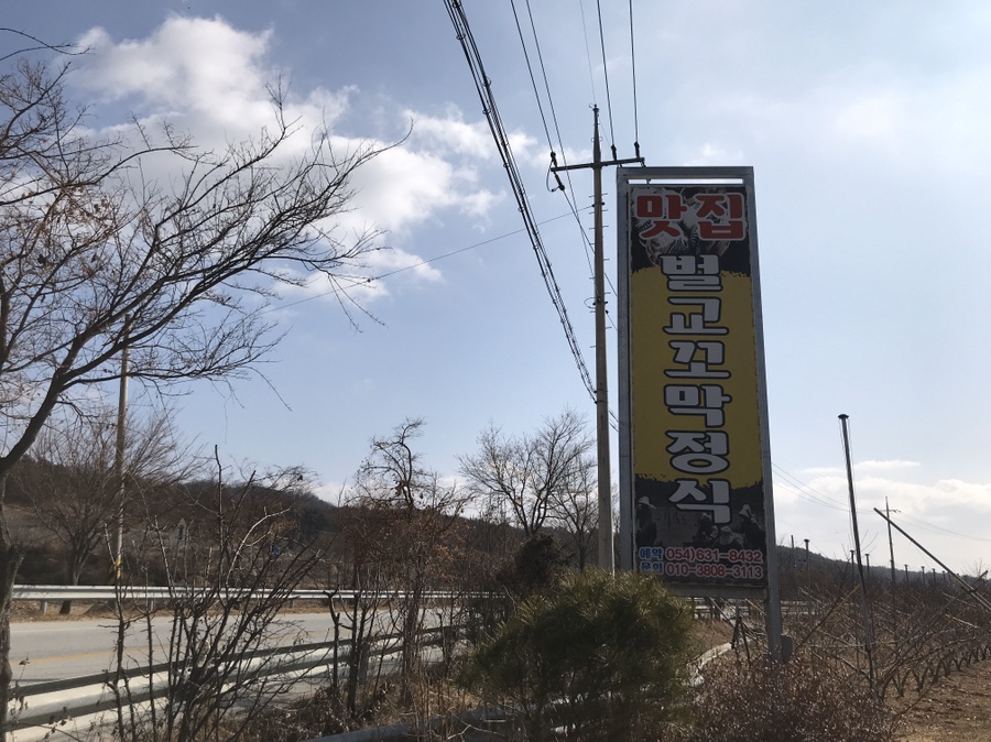 순흥애꽃 이미지