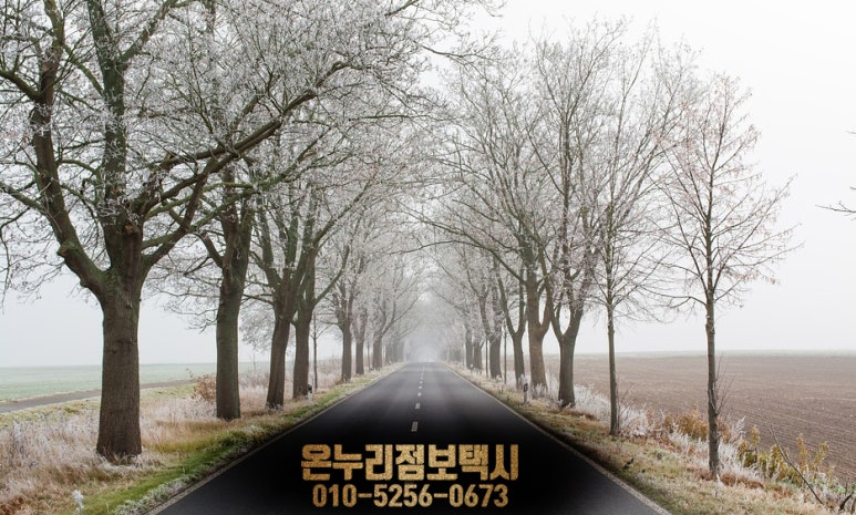 온누리카서비스 이미지