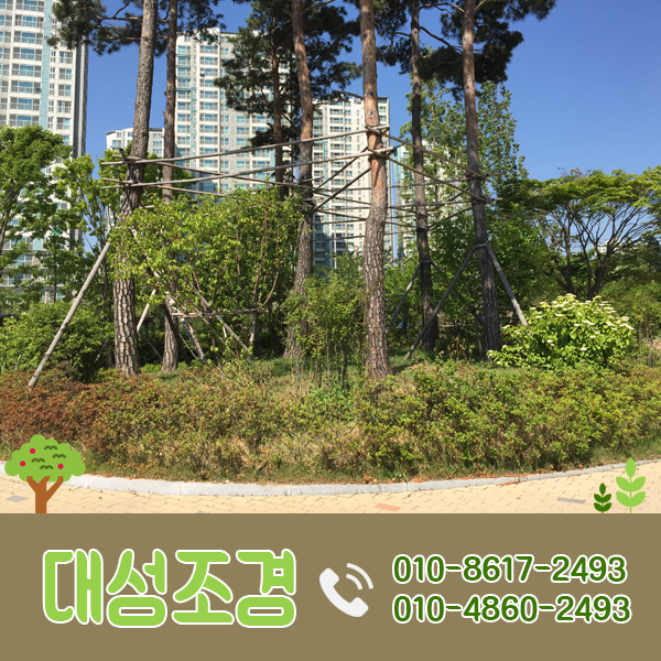대성조경농원 이미지