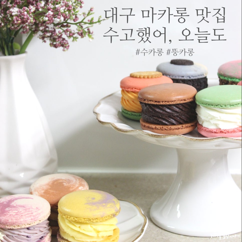 수고했어오늘도(수카롱) 이미지