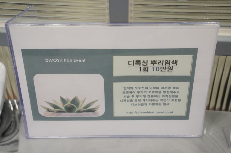 디보쉬헤어 이미지
