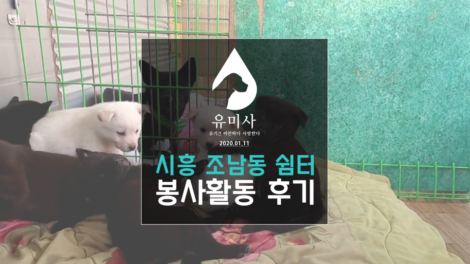 유미사 이미지