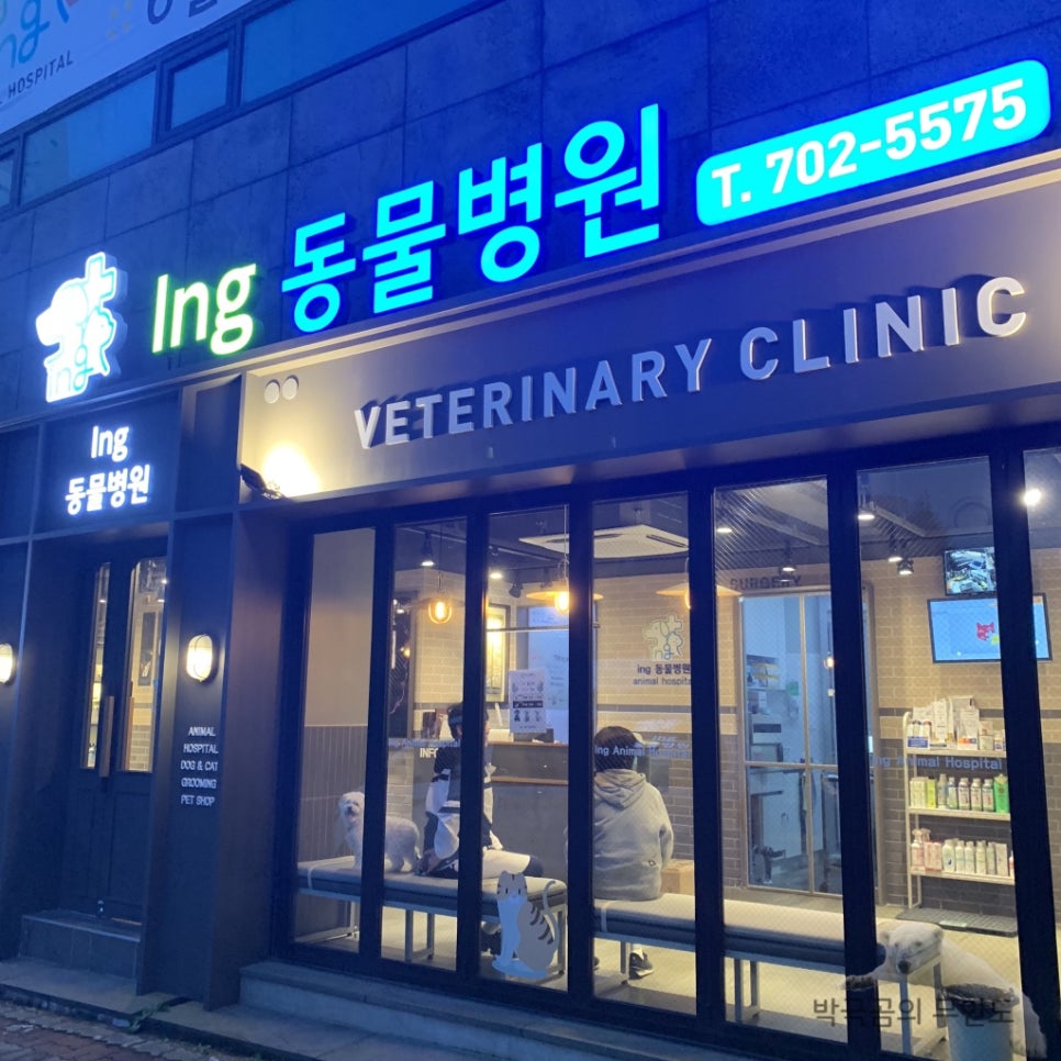 아이앤지(ing) 이미지