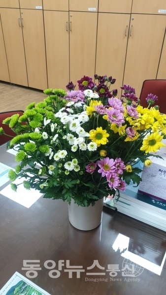 뉴스flower 이미지