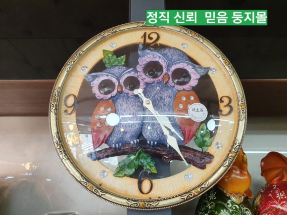 둥지몰 이미지