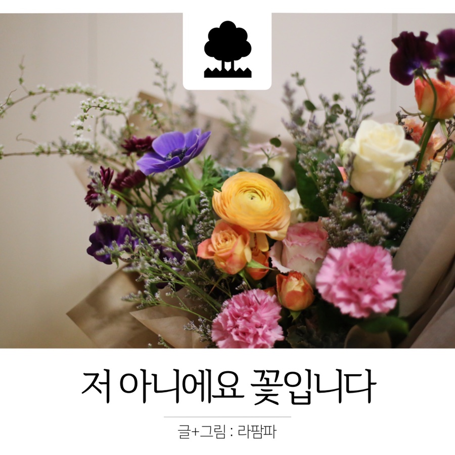 플레르솜 이미지