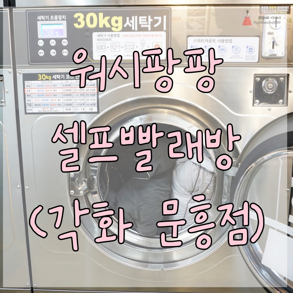 워시팡팡셀프빨래방광주 이미지