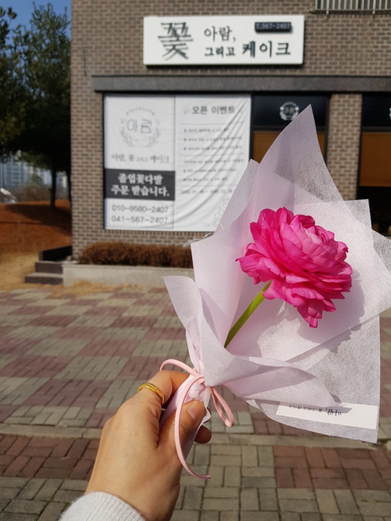 아람꽃그리고케익 이미지