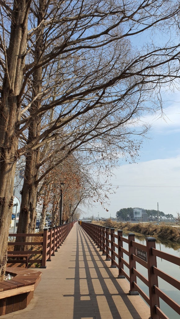 쿡커피컴퍼니 이미지