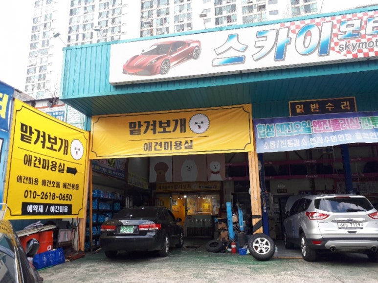 스카이모터샵 이미지