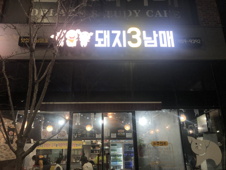 돼지3남매 이미지