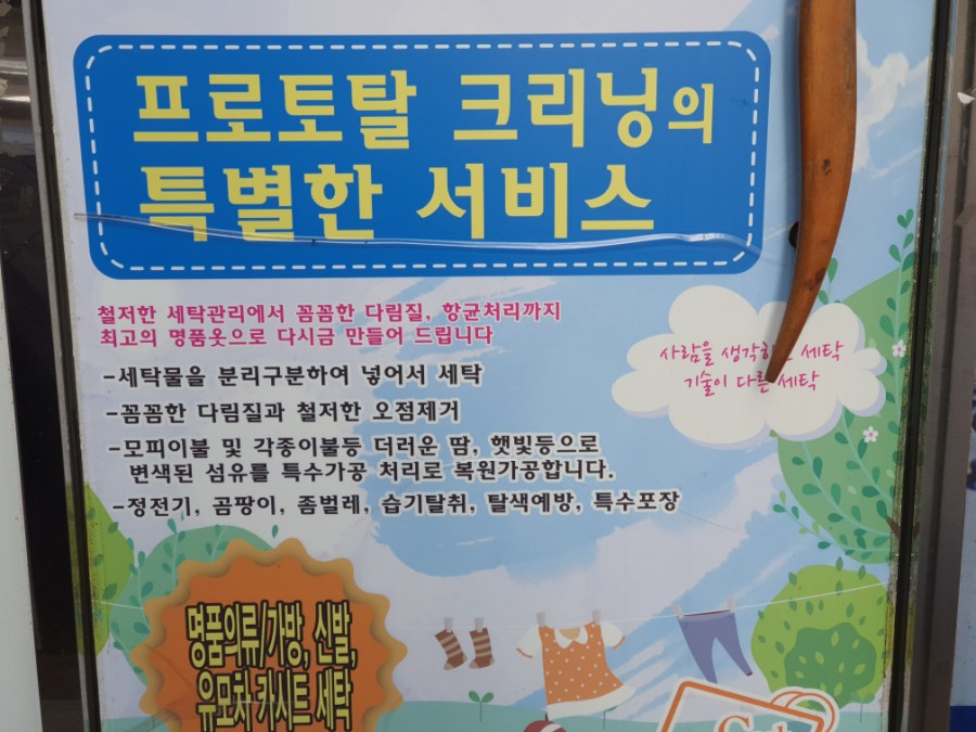 프로토탈크리닝 이미지