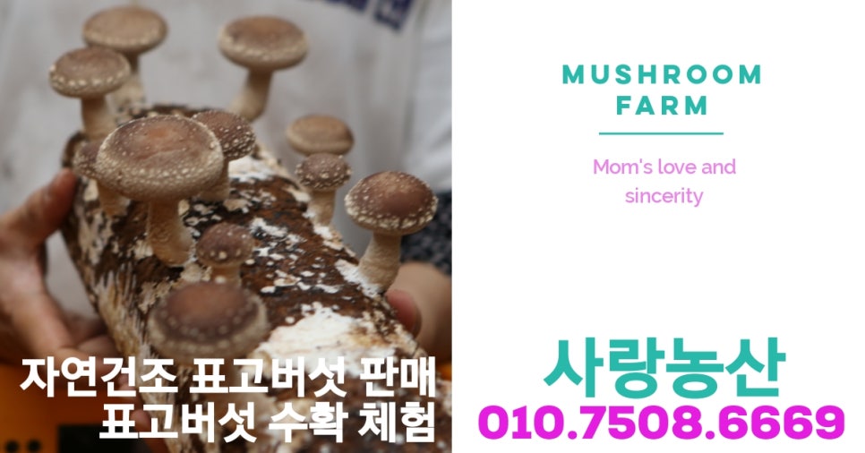 진짜손짜장 이미지
