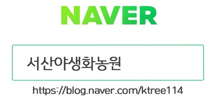 60계치킨충남서산 이미지