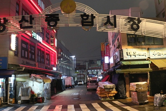 대우비니루 이미지
