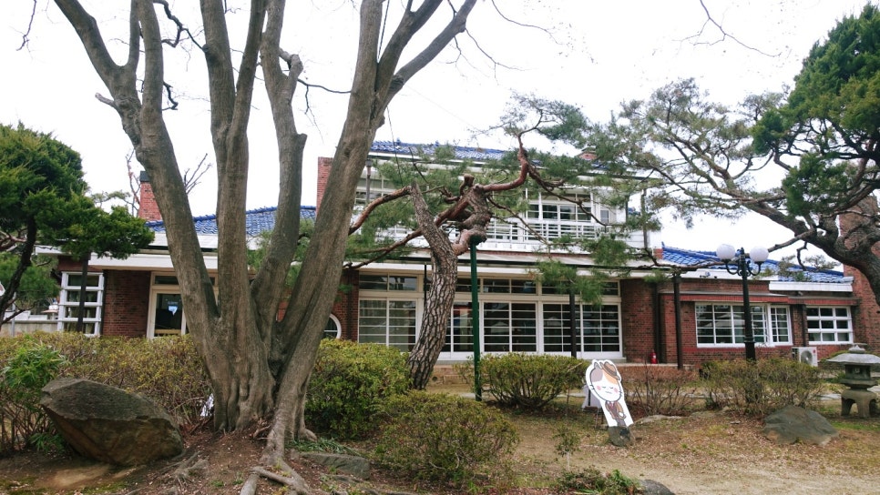 짱구청과 이미지