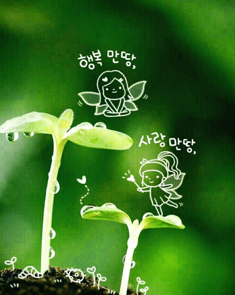 승민주니어 이미지