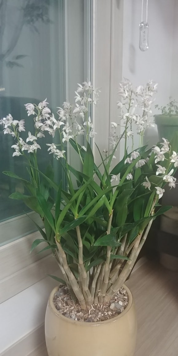 문산화원 이미지