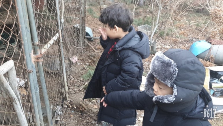 집돌이맘 이미지