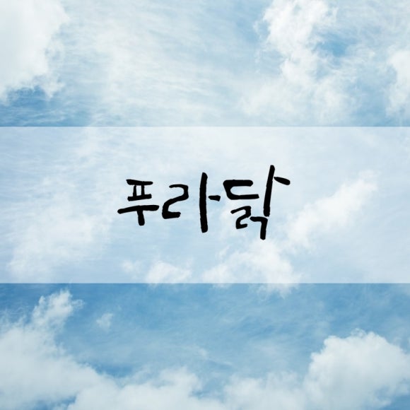푸라닭수원인계점 이미지