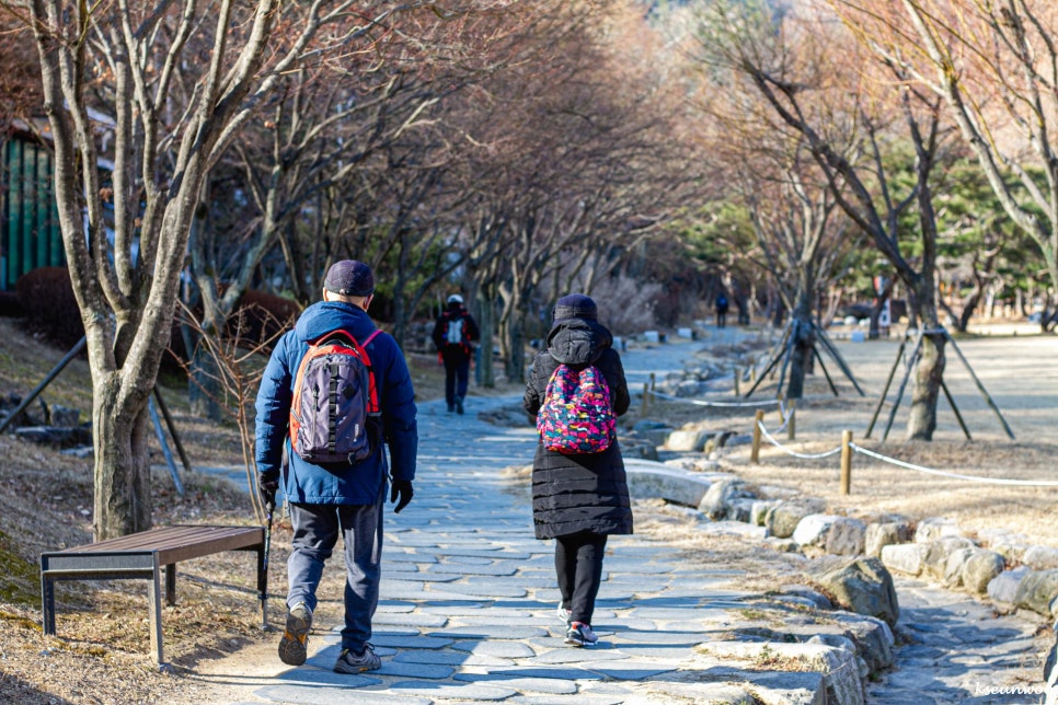 선우여행사 이미지