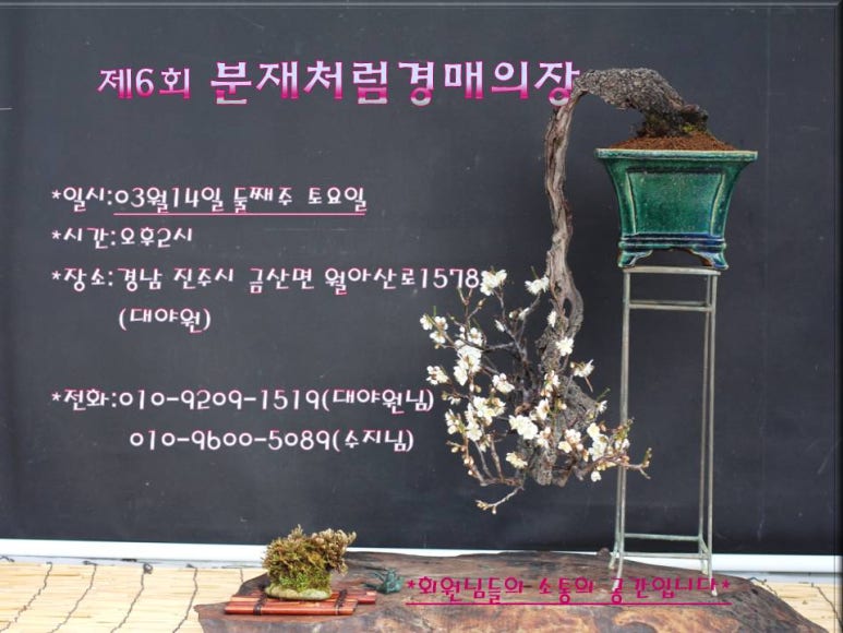 대야원 이미지