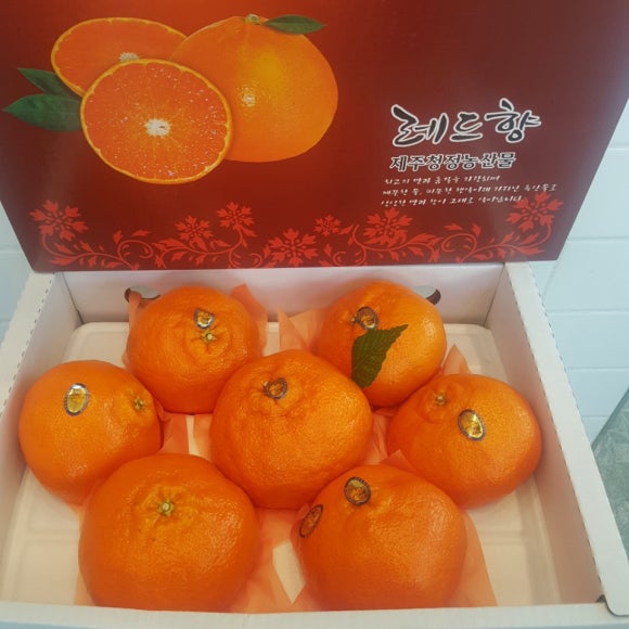 탑브릭스 이미지