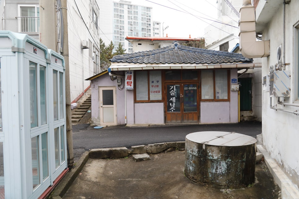 주식회사담쟁이 이미지