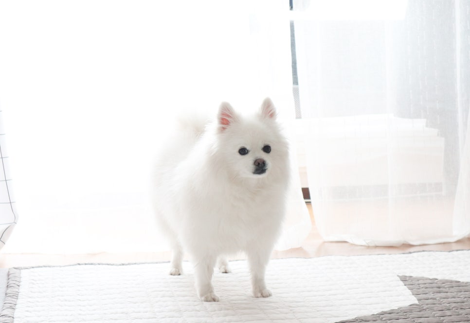 쓱싹 이미지