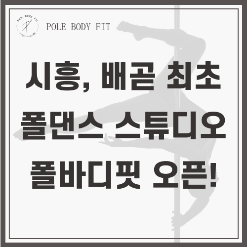 폴바디핏 이미지