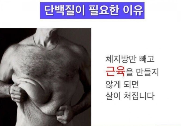 몸짱스쿨 이미지