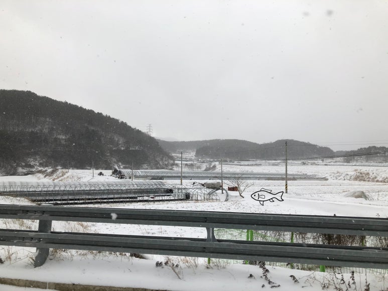 더휴일캐슬 이미지