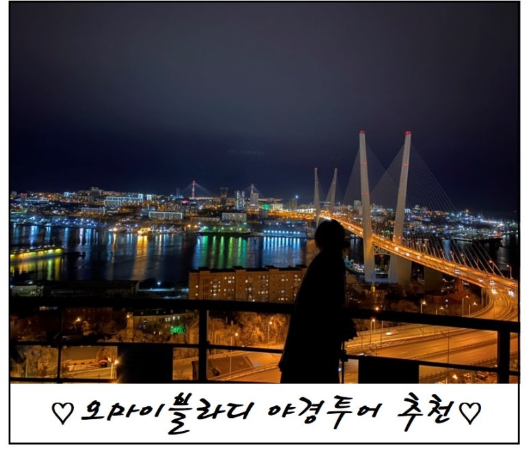오마이블라디 이미지